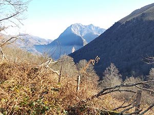 Les alentours — Les Trois Baudets