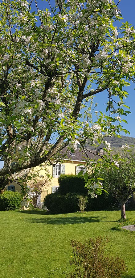 Maison en été — Les Trois Baudets
